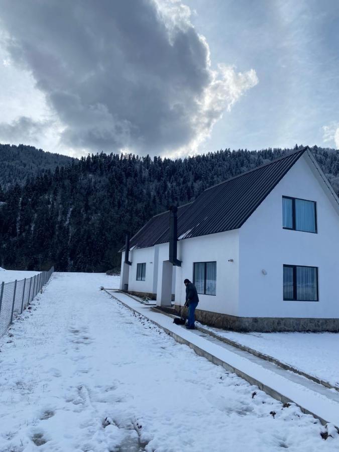 דירות White House Near Borjomi Sadgeri מראה חיצוני תמונה