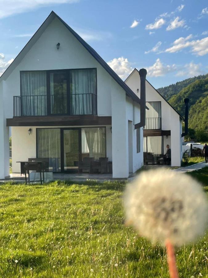 דירות White House Near Borjomi Sadgeri מראה חיצוני תמונה
