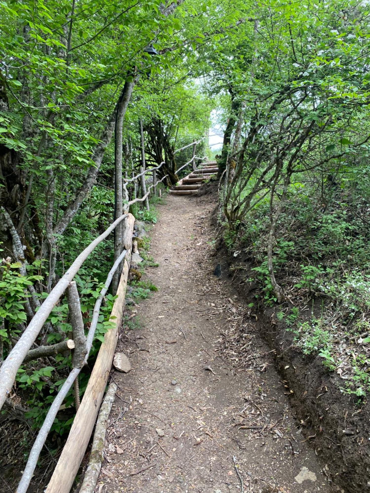 דירות White House Near Borjomi Sadgeri מראה חיצוני תמונה